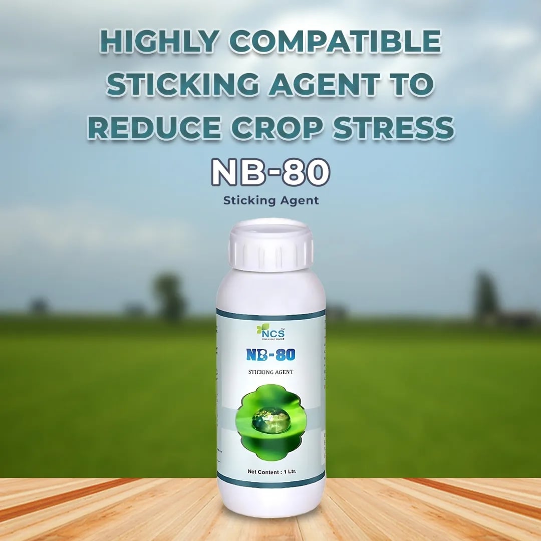 NCS NB-80 Sticking Agent