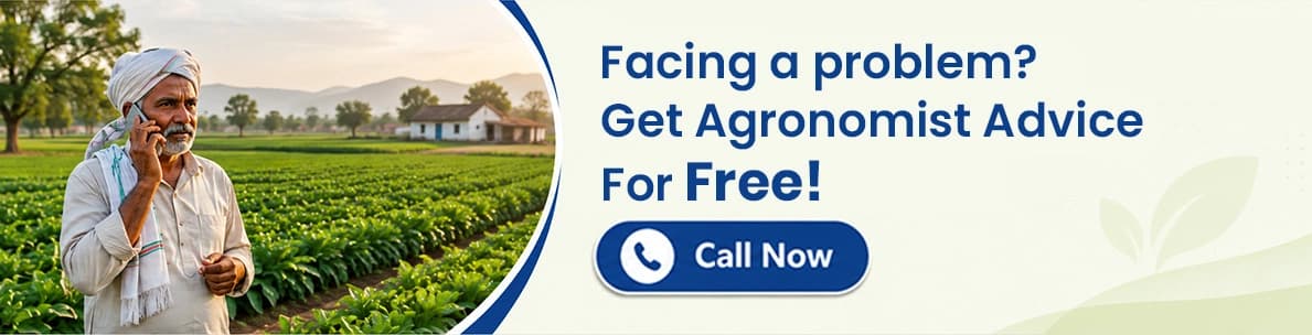 Facing a problem? Get agronomist advice for free — call now