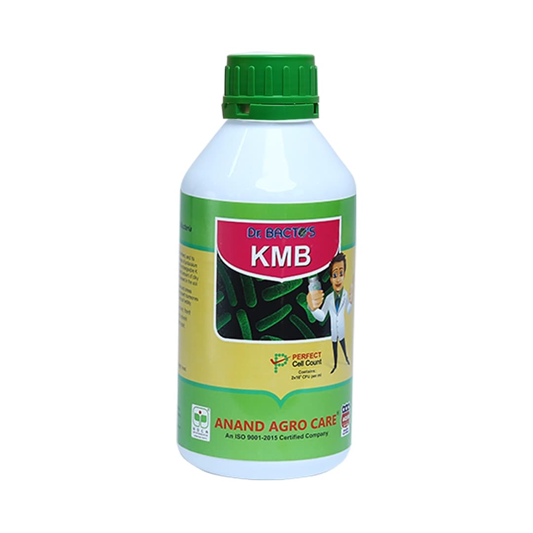 Dr. Bacto\'s KMB, Potash Mobilizing Bacteria, Improves resistance of crop against disease