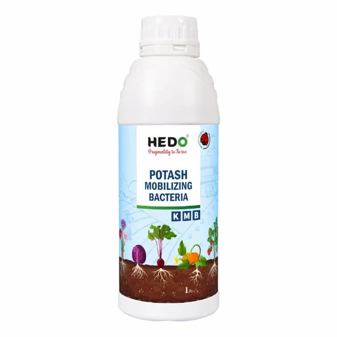 HEDO Potassium Mobilizing Bacteria (KMB) Liquid Bio Fertilizer, To Increase The Fruit Quality & Growth Of The Crops - Image 1