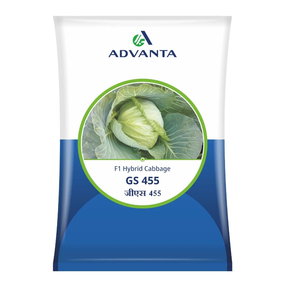 Advanta GS 455 F1 Hybrid Cabbage Seeds, Round Head, Black Rot Tolerance And High Yield