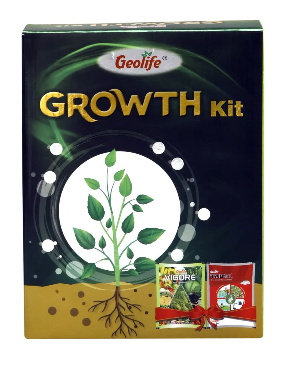 Geolife Growth Kit 450GM (Vigore 250gms + Tabsil 200gms), 100% Water-Soluble - Image 1