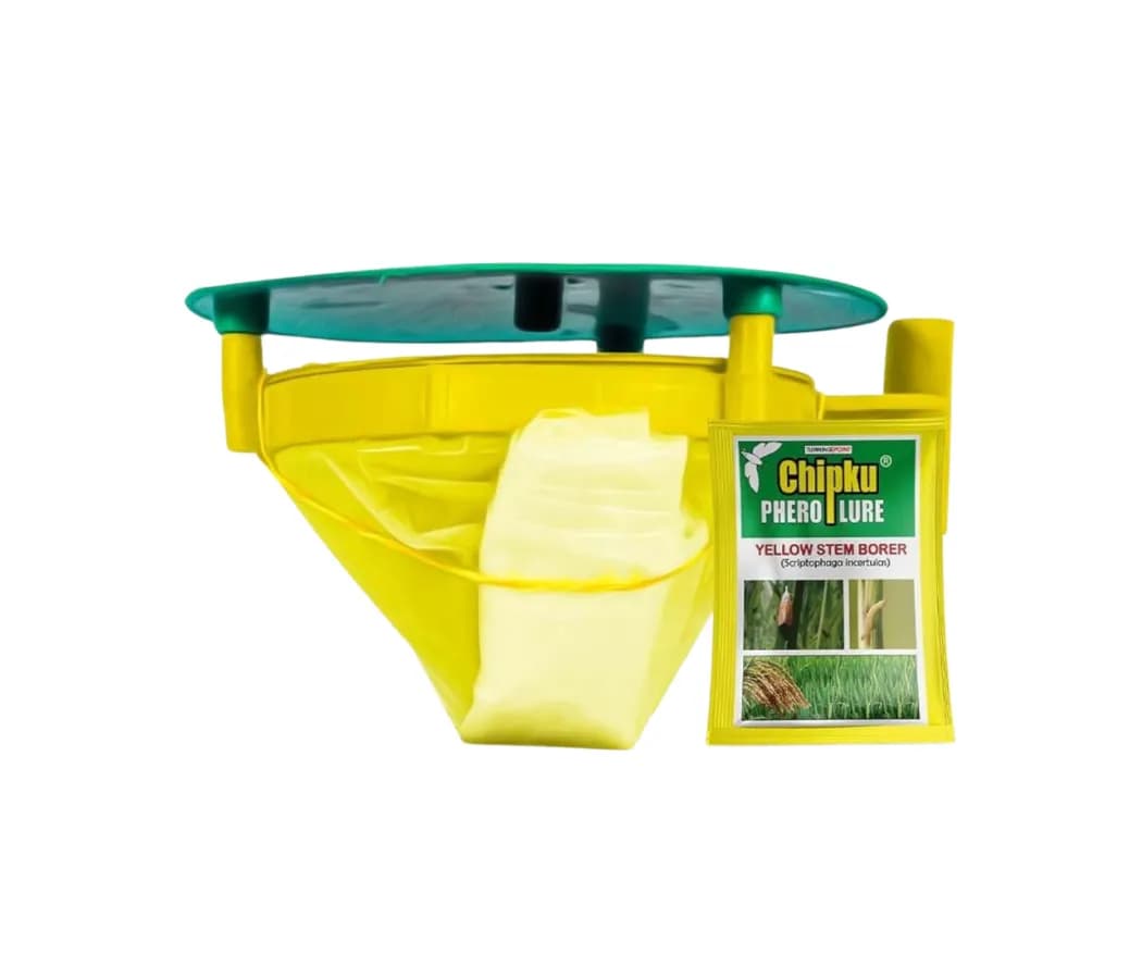 Chipku Pheromone Trap Funnel With Scriptophaga Incertulas Lure To Catch Insect, Moth Yellow Rice Stem Borer (YSB) - Image 1