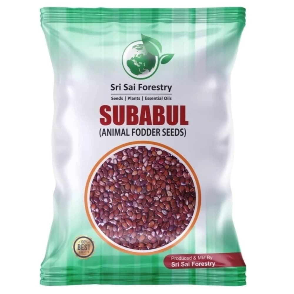 Sri Sai Forestry Subabul Seeds (Leucaena Leucocephala), Safed Babool, Ideal For Fodder Green Manure Plantation And Live Fencing