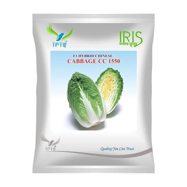 Iris CC 150 F1 Hybrid Chinese Cabbage Seeds, Bright Green, Heavy Heads And Long Field Holding