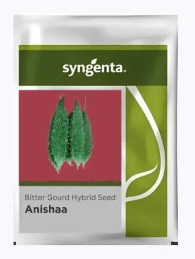 Syngenta Anishaa Bitter Gourd Hybrid Seeds - Image 1