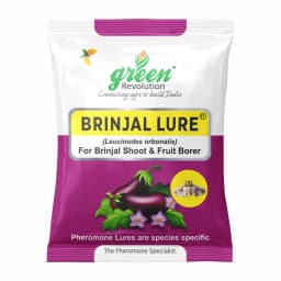 Water Pheromone Trap with Brinjal Lure (Leucinodes Orbonalis) For Brinjal Fruit and Shoot Borer Insect. 1