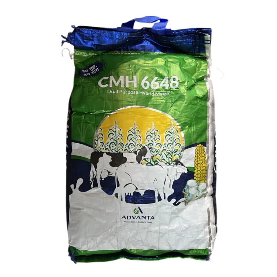 Advanta CMH 6648 Hybrid Maize Seeds, Dual Purpose, Green Corn And Fodder Use - Image 1