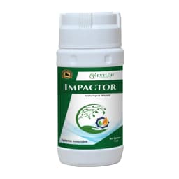 Exylon Impactor Imidacloprid 70% WG Insecticide, Broad-Spectrum Systemic Pest Control For Multiple Crops 1