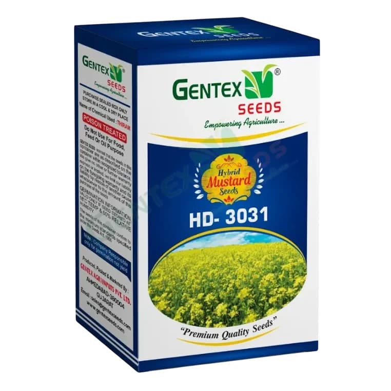 Gentex HD-3031 F1 Hybrid Mustard Seeds, Sarson Ke Beej, Sarsav Na Bee, Good Germination Quality - Image 1