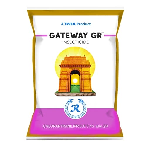 Tata Rallis Gateway GR Chlorantraniliprole 0.4% GR Insecticide, Effective Control Stem Borer In Paddy & Sugarcane Crop