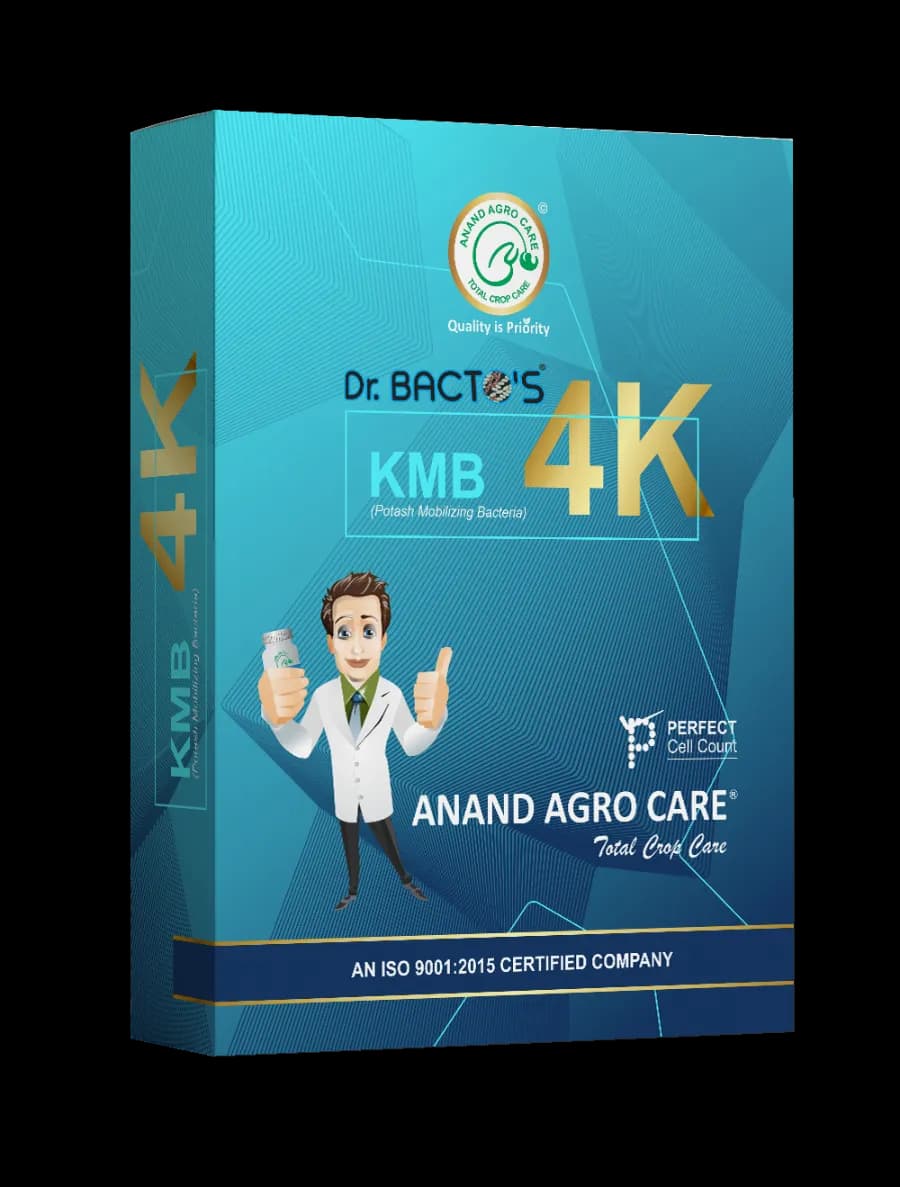 Anand Agro Care Dr. Bacto\'s KMB 4K (Potash Mobilizing Bacteria) Increases Crop Productivity And Yield