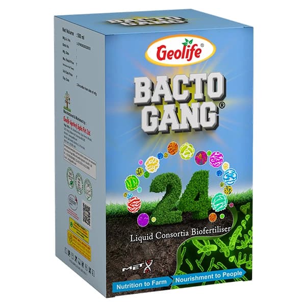 Geolife Bactogang 24 Advance Microbial Bio Fertilizer, Boost Soil Fertility