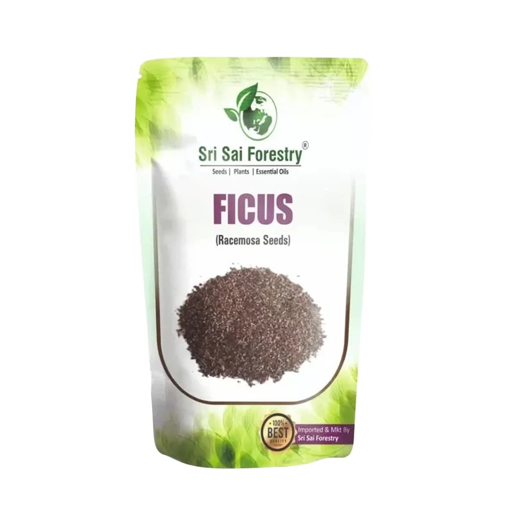 SRI SAI FORESTRY - Gular - Cluster Fig - Ficus Racemosa - Natural Tasty Athi Fruit Tree seeds  - Image 1
