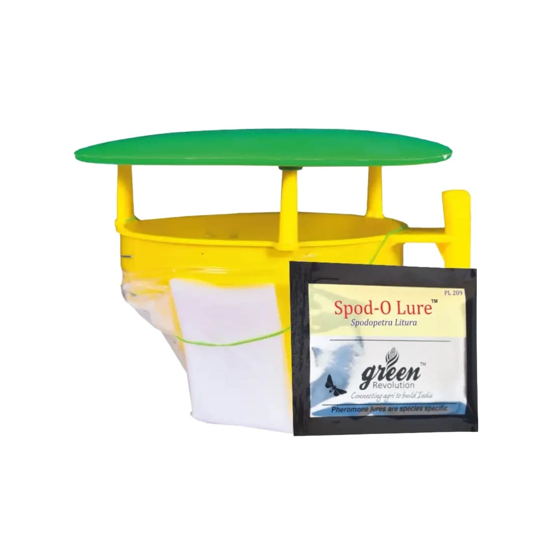 Funnel Trap with Spodo O Lure (Spodoptera Litura Pheromone) For Tobacco, Cotton, Red gram, Tomato and Chilli. - Image 1