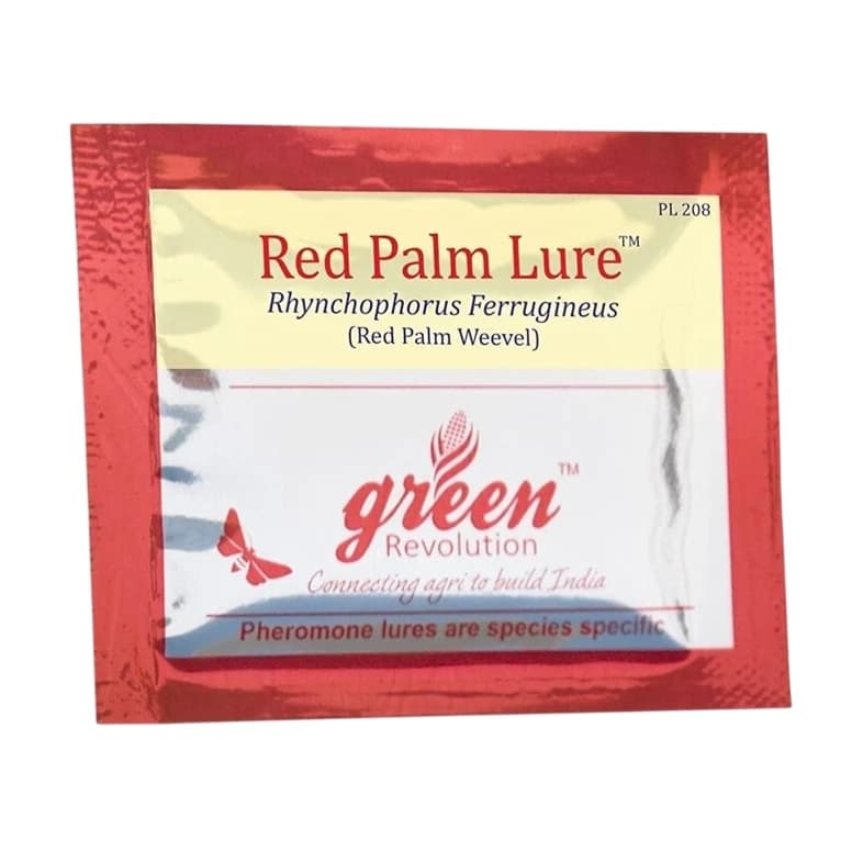 Pheromone Lure (Rhynchophorus Ferrugineus) For RPW - Red Palm Weevil. Useful In Coconut Palm, Date Palm, Oil Palm & Areca Nut Palm.