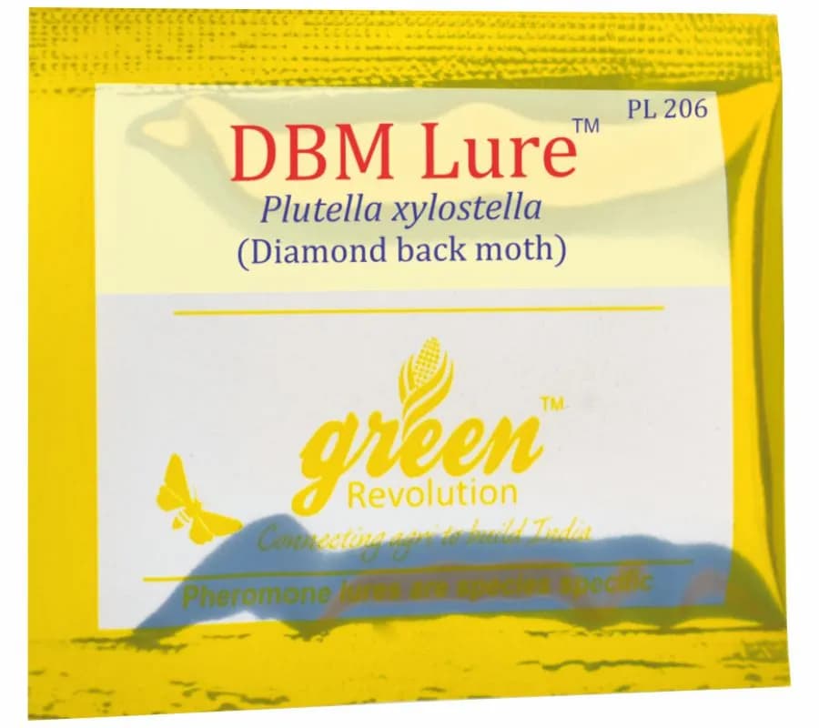 Delta Pheromone Trap with DBM Pheromone Lure for controlling Diamondback Moth (Plutella xylostella)