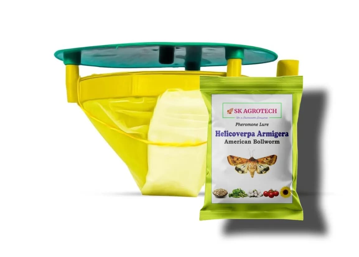 SK Agrotech Helicoverpa armigera (American Bollworm) Pheromone Trap With Lure - Effective Solution For Controlling Green Leaf-Eating Caterpillars - Image 1