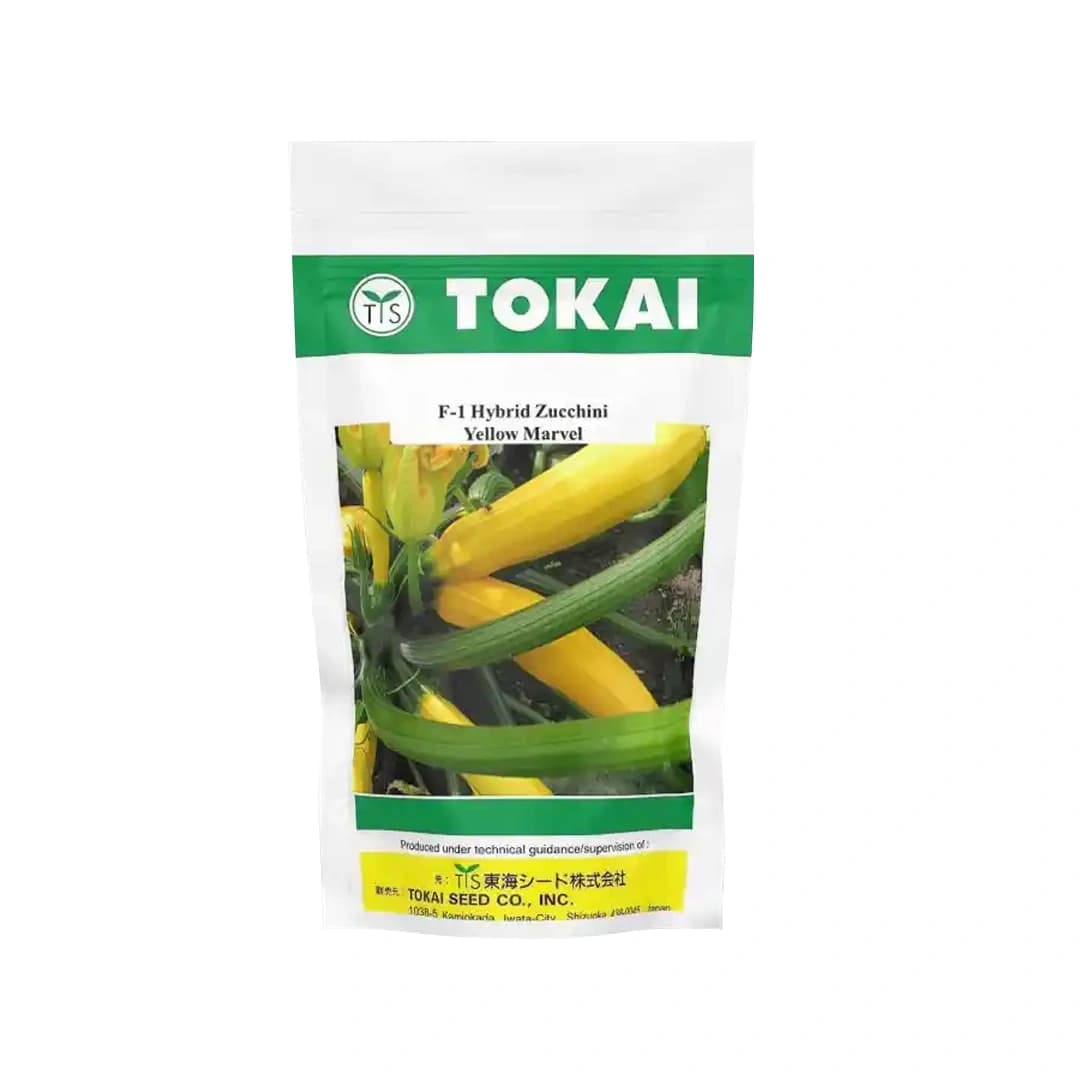 Tokai F1 Hybrid Zucchini Yellow Marvel, Bright Golden Color Variety, Excellent Flavour - Image 1