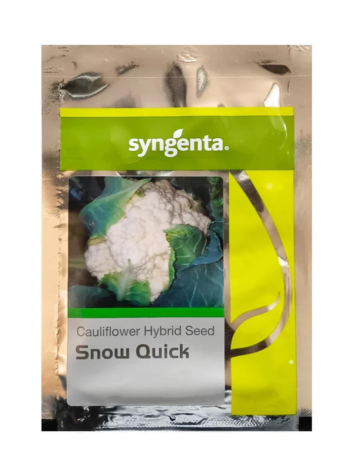 Syngenta Snow Quick F1 Hybrid Cauliflower Seeds Early White Compact Curd - Image 1