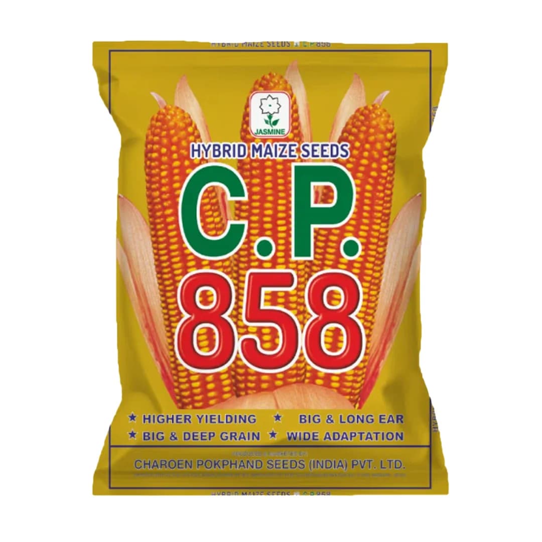 C.P. 858 Maize Seeds - Makka Seeds - Image 1