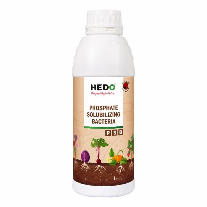 HEDO Phosphate Solubilizing Bacteria Liquid Bio Fertilizer, For Agriculture, Garden, Soil Fertility And Plant Nutrition. - Image 1
