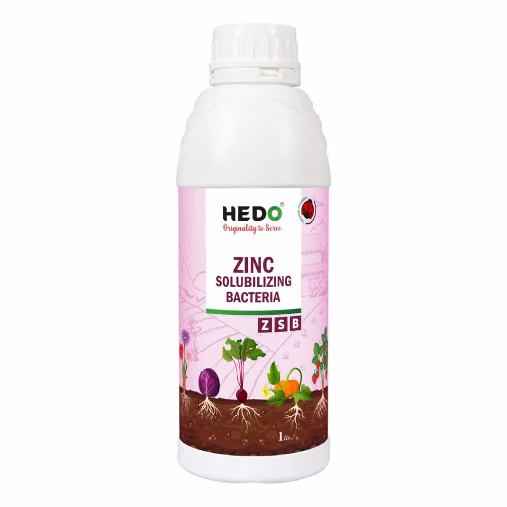 HEDO Zinc Solubilizing Bacteria (ZSB) Liquid Bio Fertilizer, For All Plants, Agricultural & Garden, Helps to Improves Soil Fertility