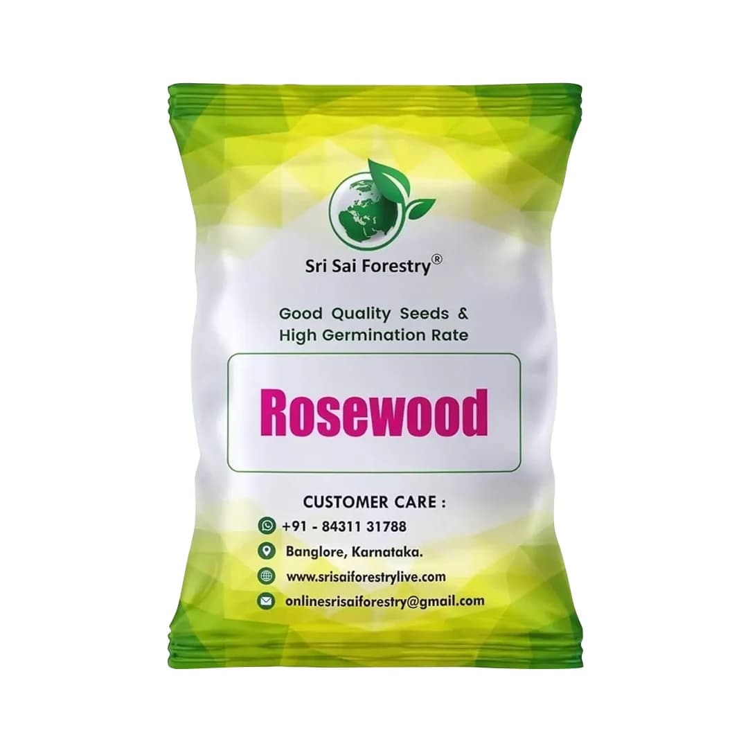 SRI SAI FORESTRY - Shisham Tree Seeds (North Indian Rosewood ) , Hard Tiber Seeds