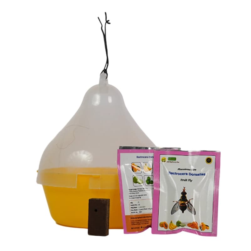 WAVAR Bactrocera Dorsalis Macphil Trap, Easy To Install, Effective Fruit Fly Control - Image 1