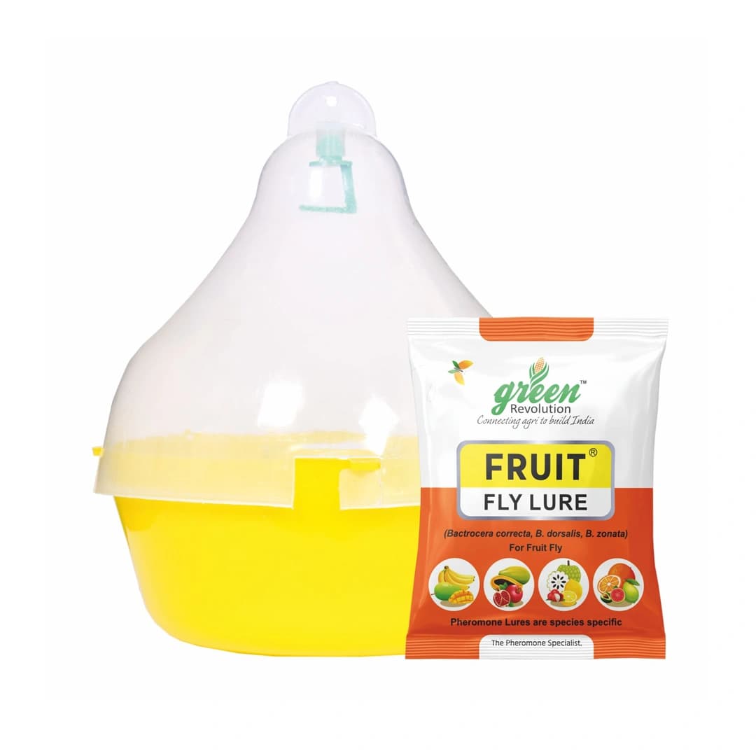 Maxplus Trap with Fruit Fly Lure (Bactrocera Correcta, Zonata, Dorsalisa Pheromone Lure) For Mango, Guava, Sapota, Citrus, Banana, and Papaya - Image 1