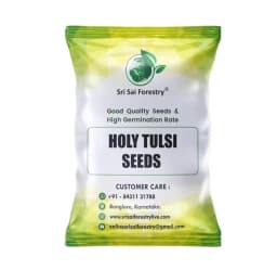 SRI SAI FORESTRY- Natural Tulsi Seed or Holy Basil Seeds, Indian Tulsi Plant Seeds, Flower Seeds 1