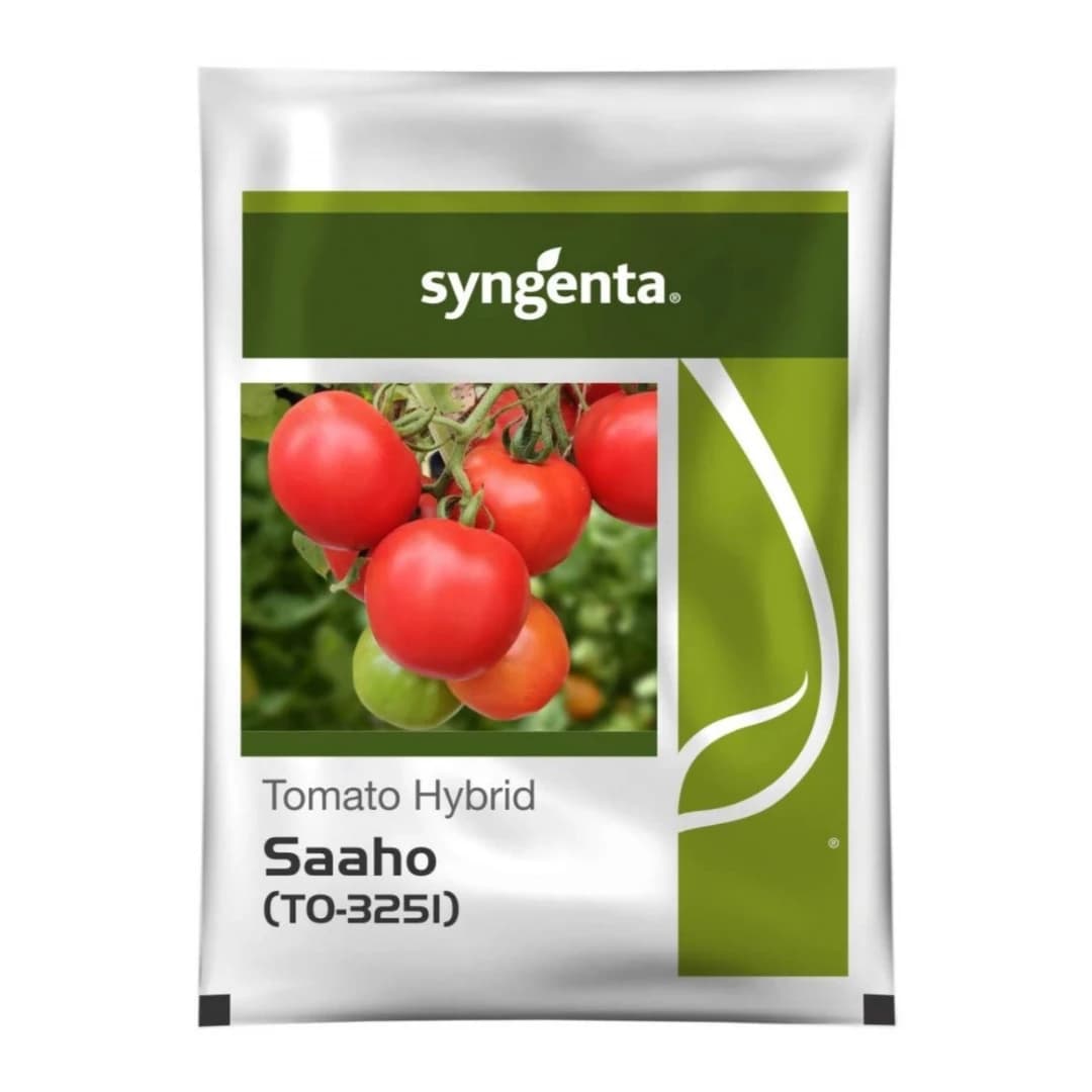 Syngenta Saaho Tomato Seeds (TO-3251) - Image 1