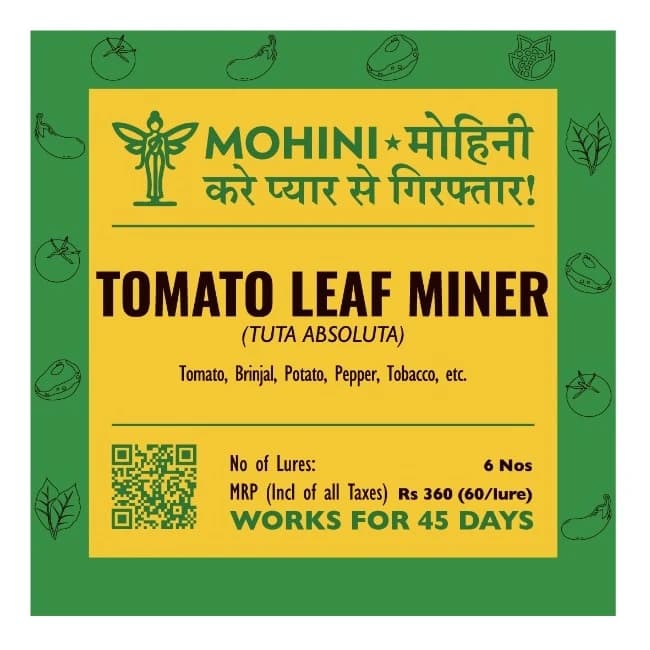 Biowall Mohini Tomato Leafminer Tuta Absoluta, Pheromone Lure For Effective Pest Control In Crops - Image 1