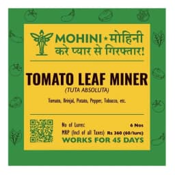 Biowall Mohini Tomato Leafminer Tuta Absoluta, Pheromone Lure For Effective Pest Control In Crops 1