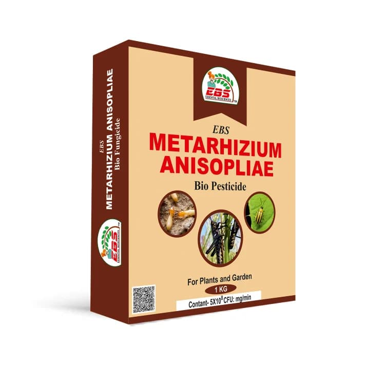 EBS Metarhizium Anisopliae, Bio Pesticide, Control Root Weevils, Plant Hoppers, Japanese Beetle, Black Vine Weevil On All Type Of Crops - Image 1