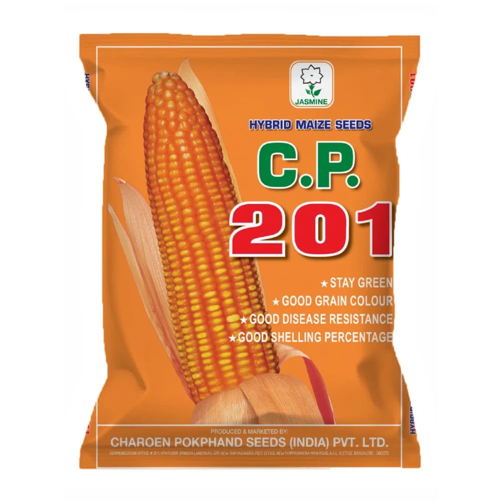 CP 201 Hybrid Maize Seeds, Makka Ke Beej, Yellow Orange Corn With High Yield - Image 1