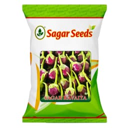 Sagar Ravaya F1 Hybrid Brinjal Seeds, Dark Violet, Oval-Shaped, High Yielding Variety 1
