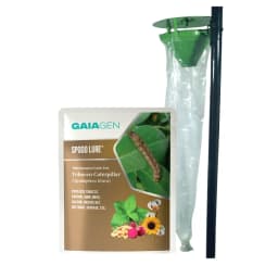 Gaiagen Tobacco Caterpillar (Spodoptera Litura) Pheromone Lure And Insect Funnel Traps, IMO Certified. 1