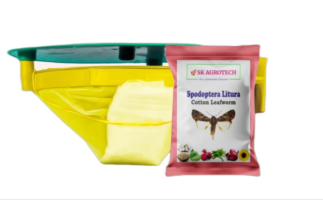 SK Agrotech Spodoptera Litura Cotton Leafworm Pheromone Trap With Lure - Effective Monitoring and Control