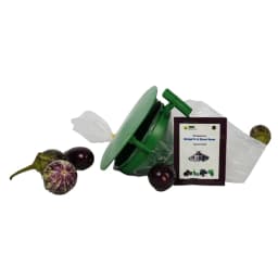 WAVAR Leucinodes Orbonalis Funnel Trap, Efficient For Brinjal Fruit Shoot Borer Pest, Effective Pest Management 1