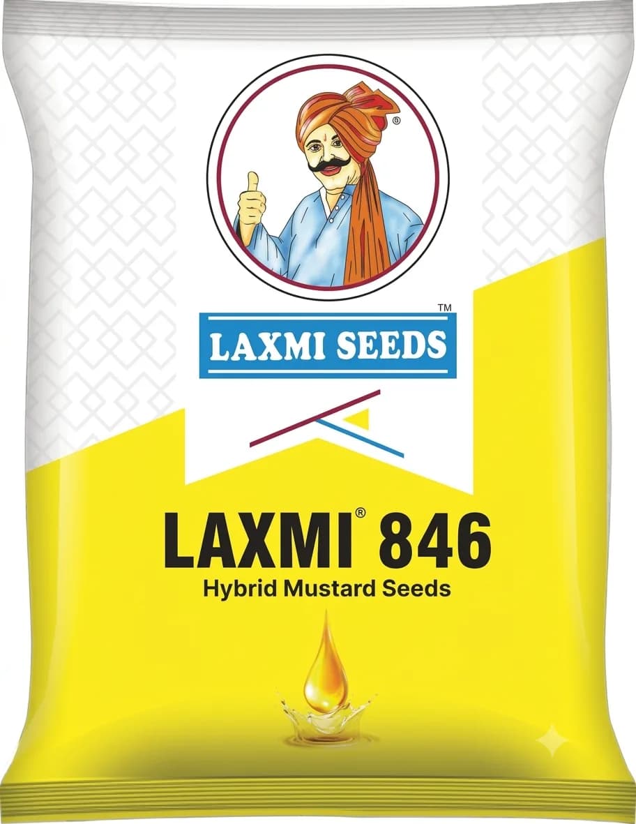 Laxmi 846 High Yielding Hybrid Mustard Seeds - Image 1