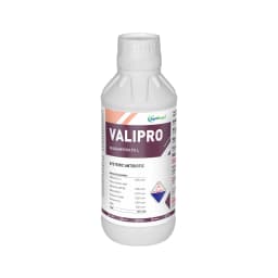 Valipro Fungicide - Validamycin 3% L 1