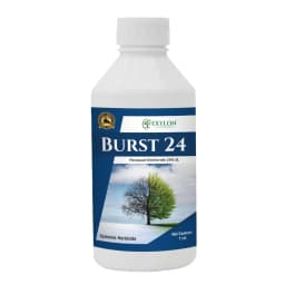 Exylon Burst 24 Paraquat Dichloride 24% SL Herbicide, Non-Selective, Fast Weed Control In Crops 1