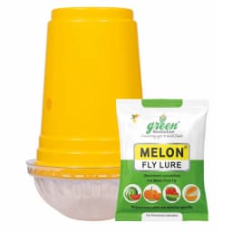 Green Revolution Yellow IPM Trap With Melon Fly Lure, Effective For Fly Control In Vegetable 1