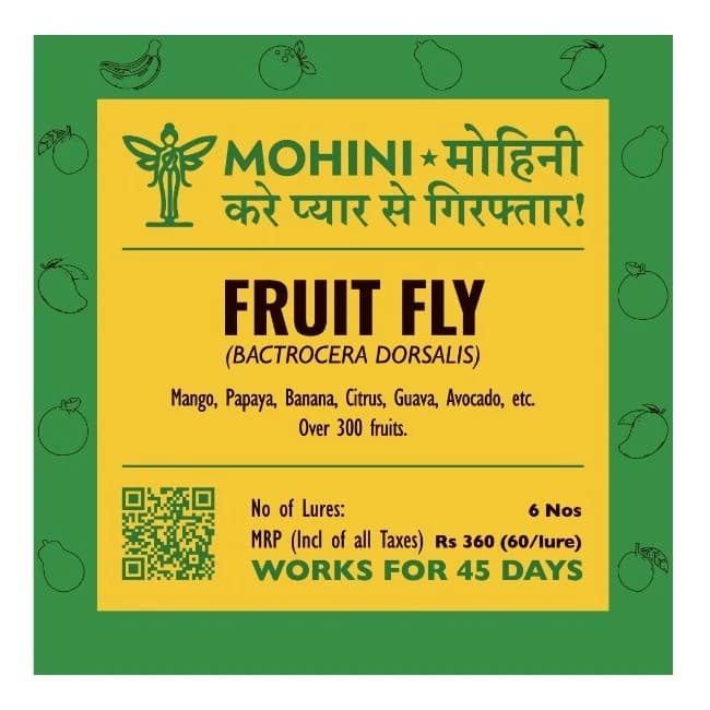 Biowall Mohini Fruit Fly Bactrocera Dorsalis, Pheromone Lure For Effective Pest Management