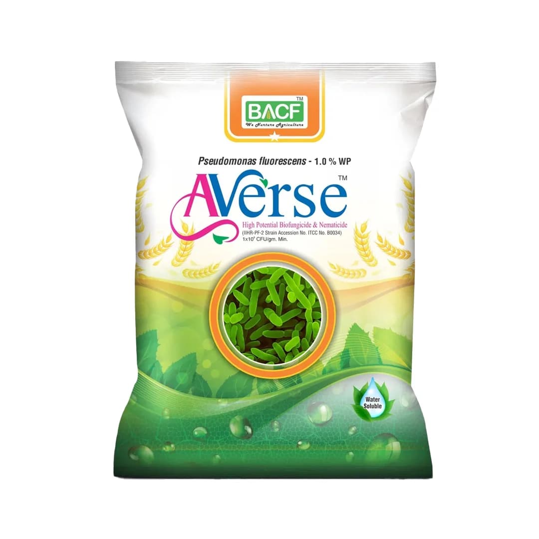 BACF Averse Pseudomonas fluorescens 1%WP Bio Pesticide , Selective Bio-Agent And Effectively Controls Soil-Borne - Image 1