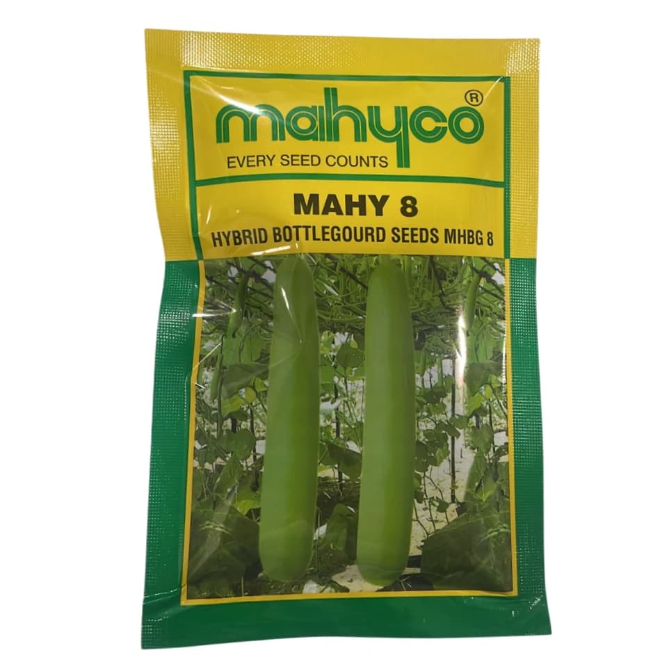 Mahyco Mahy 8 Hybrid Bottle Gourd Seeds, Cylindrical Shape, Green Stripes, High Yield Variety - Image 1