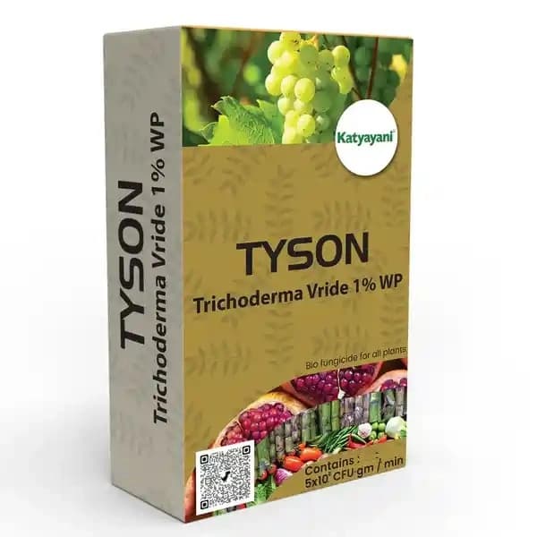 Katyayani Tyson Trichoderma Viride 1% WP Bio Fungicide, Use For Vegetable Crops, Fruit crops, Field crops, Pulses and Plantation Crops