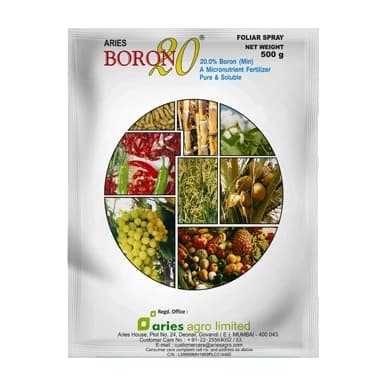 Aries Boron 20 Micronutrient Fertilizer, Boost Plant Growth Naturally, Suitable For All Crops