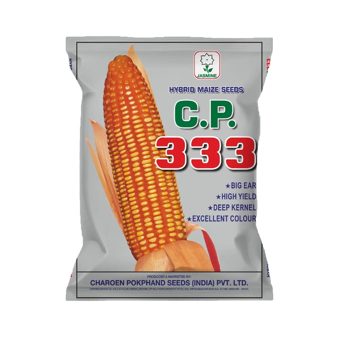 Maize Seeds 333 Hybrid - CP Seeds, Makka Ke Beej, High Yielding, Deep Kernels
